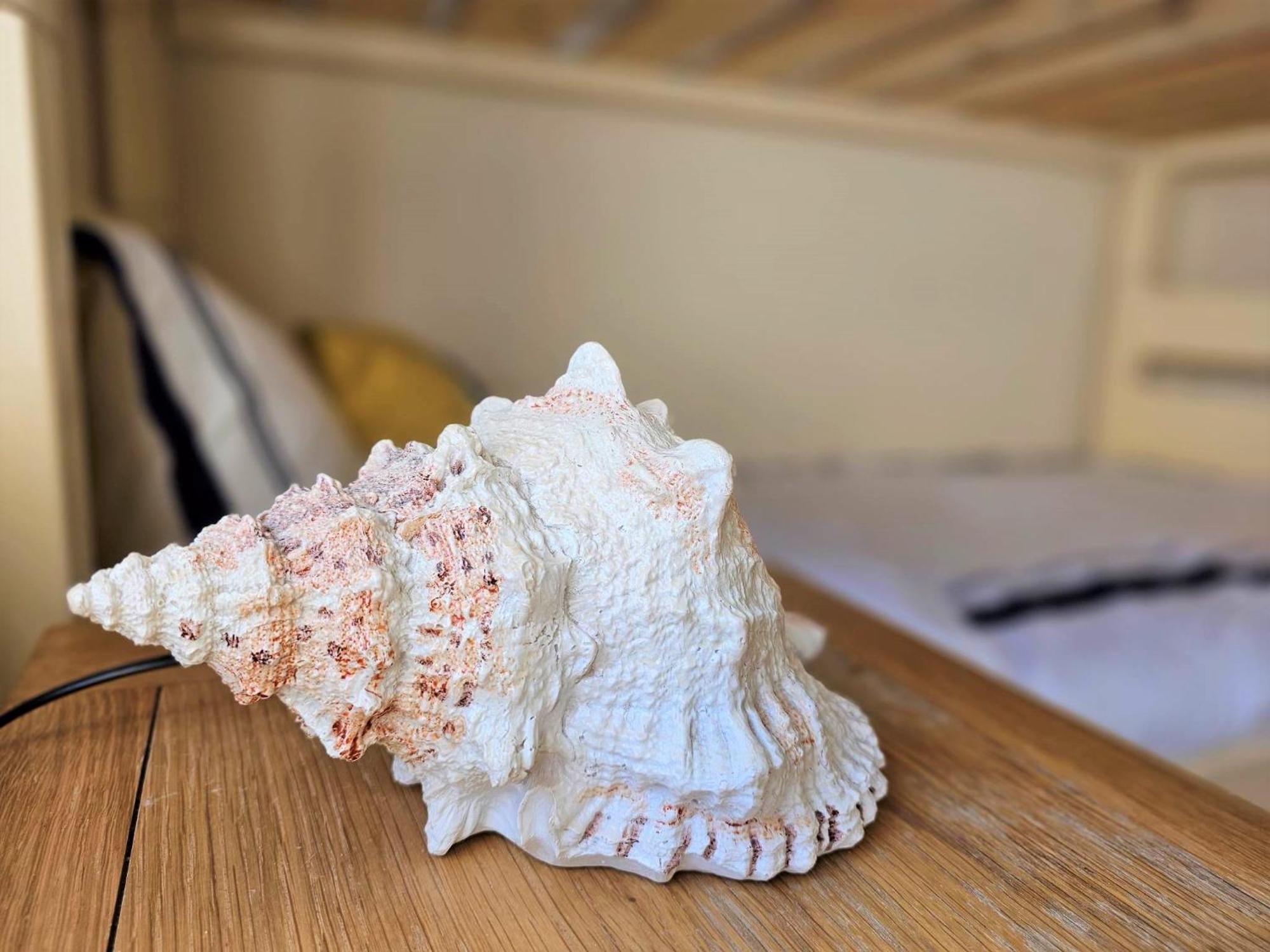 Bosun'S Cottage Luxury Stay In The Heart Of Town Γουέιμουθ Εξωτερικό φωτογραφία